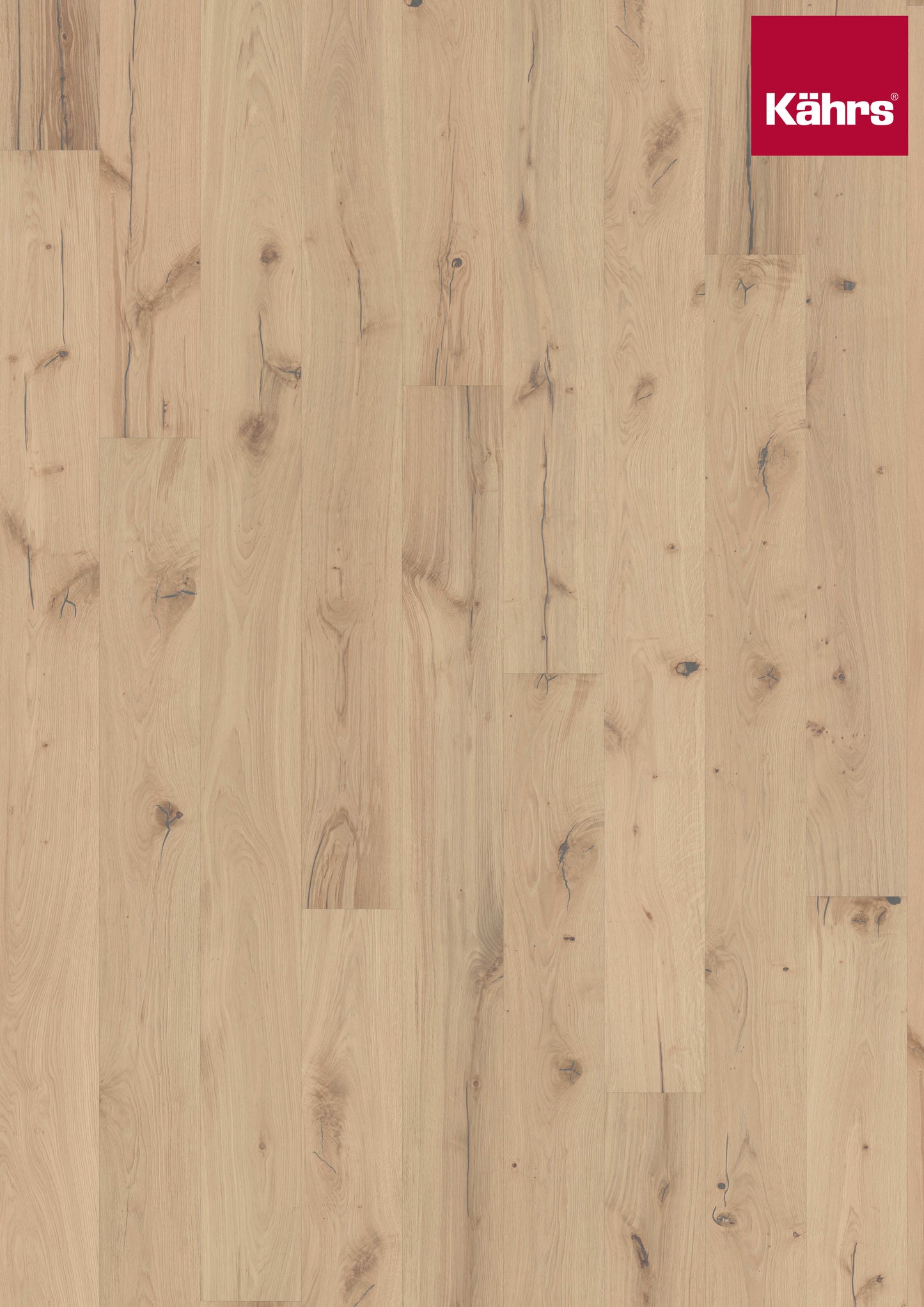 Eiche Pallido (95,03 €/m²)